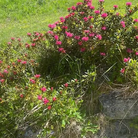 Appartamento Kuschelhuesli Ganahl Zamangspitze Aussersiggam