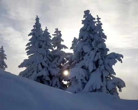 Appartamento Kuschelhuesli Ganahl Zamangspitze *